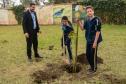 Presidente da Celepar planta árvore na Escola Estadual Amyntas de Barros 