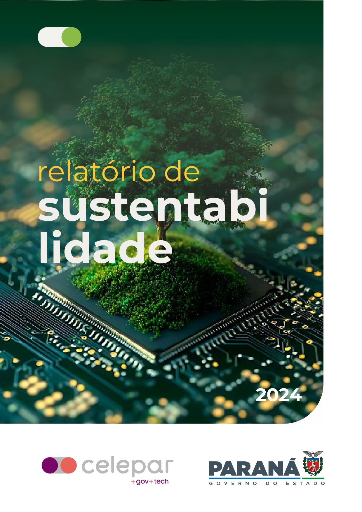 Cara relatório de sustentabilidade 2024