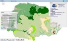 Formações fitogeográficas destacadas no mapa e explicação de suas cores na legenda. 