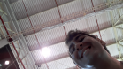 Marvin_SmartCity