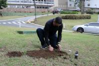 Campanha Floresce Paraná