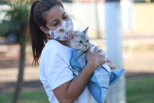 Programa de proteção e saúde a animais com apoio da Celepar chegou a mais 12 municípios paranaenses em janeiro