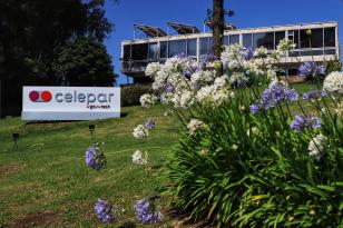 No dia do trabalho Celepar homenageia colaboradores que fazem parte da história da tecnologia no paraná