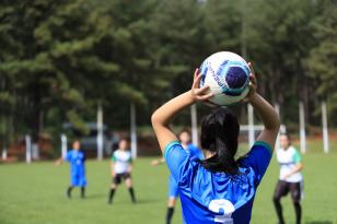 Sistema desenvolvido pela Celepar agiliza processo de execução de lei de incentivo ao esporte