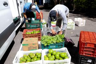 Programa Compra Direta Paraná inicia entregas de alimentos a mil entidades filantrópicas