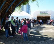 Mutirão da Cidadania Paraná em Ação faz 60 mil atendimentos em Ponta Grossa. 16-11-2014.