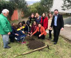 Presidente da Celepar planta árvore na Escola Estadual Amyntas de Barros 