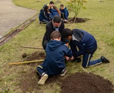 Presidente da Celepar planta árvore na Escola Estadual Amyntas de Barros 