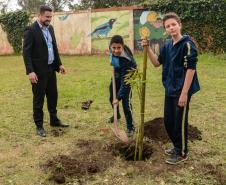 Presidente da Celepar planta árvore na Escola Estadual Amyntas de Barros 