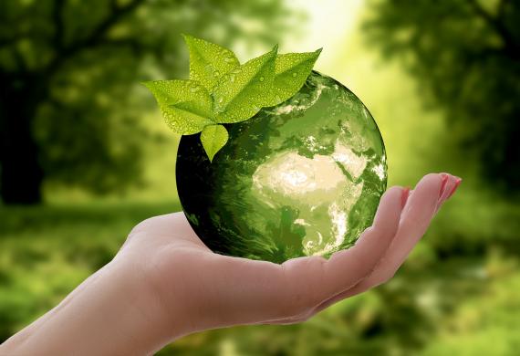 sustentabilidade2