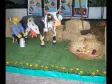 36.º edição do Paraná em Ação, a feira de serviços gratuitos organizada pelo Governo de Estado, no Centro Cívico