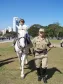 36.º edição do Paraná em Ação, a feira de serviços gratuitos organizada pelo Governo de Estado, no Centro Cívico