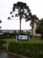 Celepar - Natal 2007