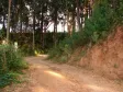 Estacionamento da CELEPAR