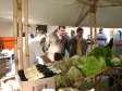 O primeiro dia de mercado foi realizado hoje (21) e a partir de agora, todas as sextas-feiras, das 8h às 13h, serão vendidos produtos como frutas, verduras, pães, cereais e laticínios