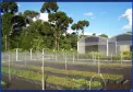 Foto do Viveiro Florestal Ricardo Sampaio de Guarapuava. Acesso via caixa de seleções do mapa.