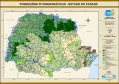 Formações fitogeográficas do Estado do Paraná.