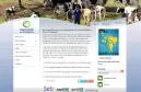 http://www.usf.pr.gov.br