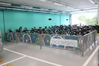 Ações sustentáveis e sistemas da Celepar ajudam na preservação do meio ambiente