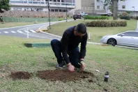 Campanha Floresce Paraná