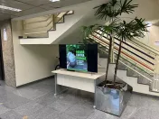 Celepar no combate contra a Dengue