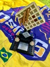 Patrocinada pela Celepar, equipe paranaense de robótica conquista prêmio em torneio nos Estados Unidos