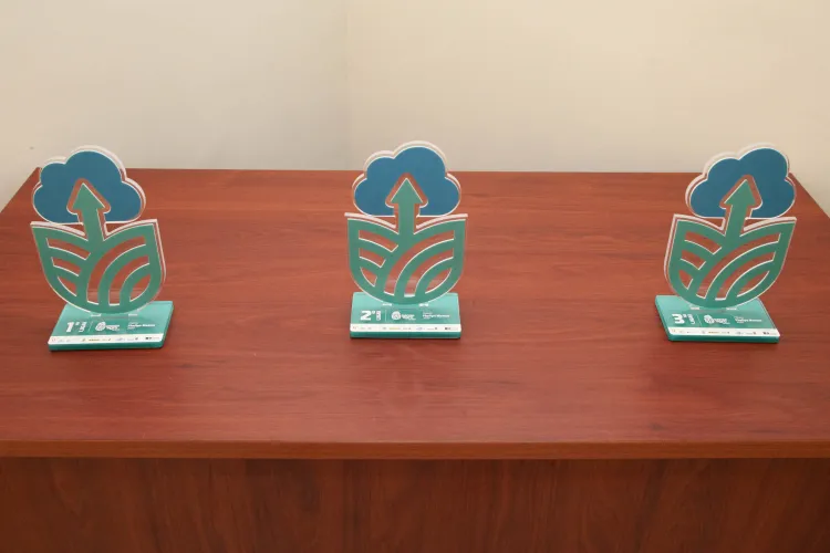 Vencedores da maratona de inovação Pense Agro são premiados