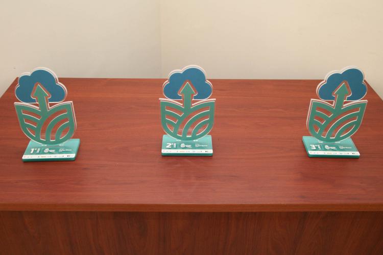 Vencedores da maratona de inovação Pense Agro são premiados