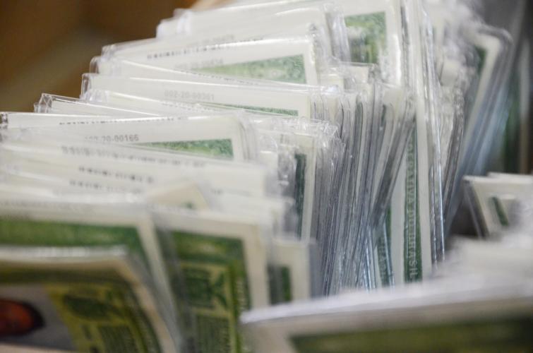 carteiras de identidade em confecção