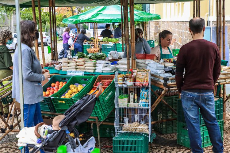 Paraná ganha mapa estadual de feiras orgânicas e agroecológicas; veja como pesquisar