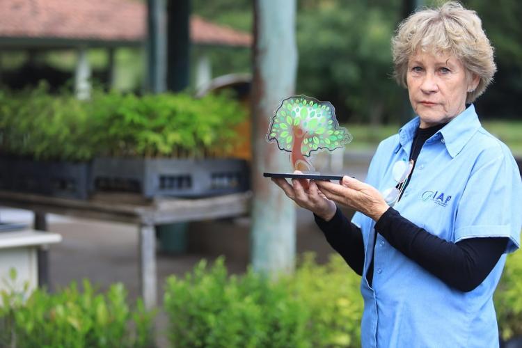 Novo aplicativo Paraná Mais Verde facilita o acesso a mudas nativas dos viveiros florestais do Estado