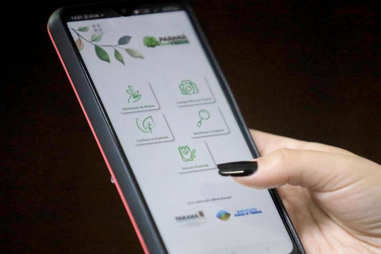 Aplicativo Paraná Mais Verde já pode ser baixado no Google Play