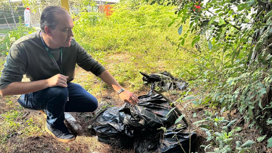 Celepar no combate contra a Dengue