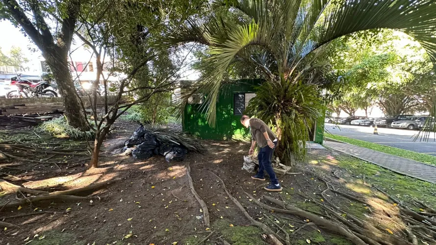 Celepar no combate contra a Dengue
