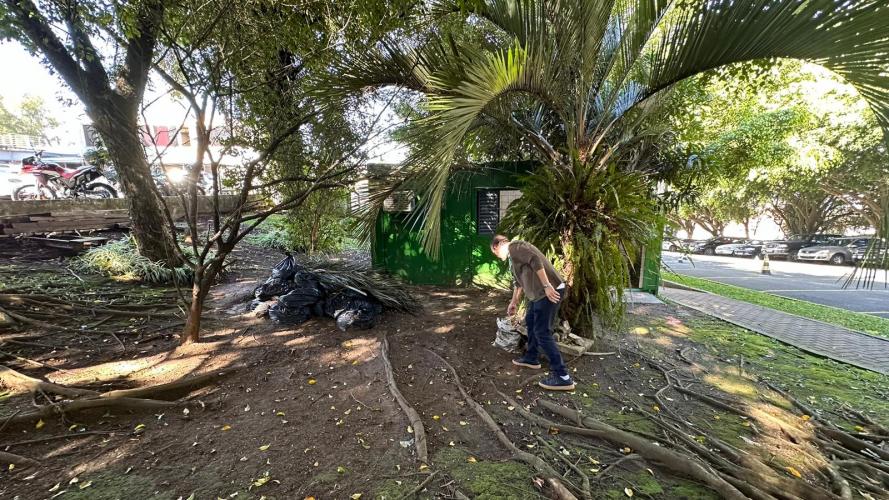 Celepar no combate contra a Dengue