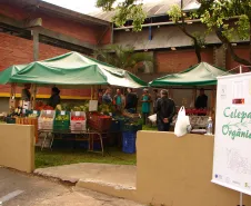 Visando que seus empregados tenham uma alimentação saudável, e consequentemente, uma melhor qualidade de vida, a Celepar apoia a feira de produtos orgânicos na Funcel