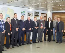 Ricardo Adriano Serfas, Paloma Groxko, Marlos Marceliano Almeida, Nelson Garcia, Valdir Rossoni, Jacson Carvalho Leite, Lucio Alberto Hansel, João Luiz Giona Junior, Lydia Montani, Vanderlei Norberto Rebelo e Cláudio Luiz Pacheco