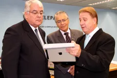Miniatura