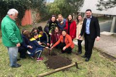 Presidente da Celepar planta árvore na Escola Estadual Amyntas de Barros 