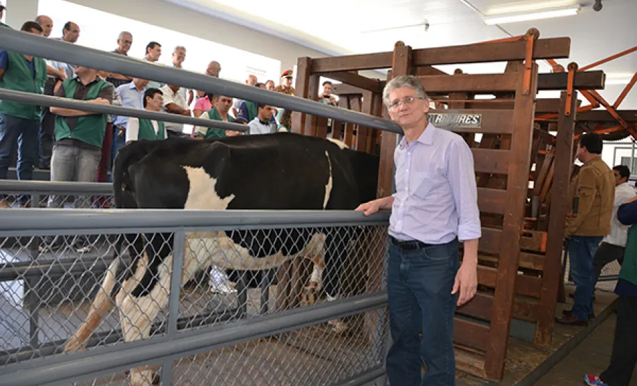Paraná dá início à segunda etapa de vacinação contra a febre aftosa O secretário estadual da Agricultura e do Abastecimento, Norberto Ortigara, lança em Umuarama, a segunda etapa da campanha estadual de vacinação contra a febre aftosa.