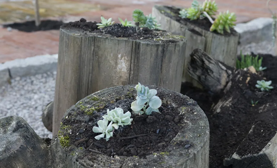 Celeparianos decoram o novo jardim da empresa em oficina