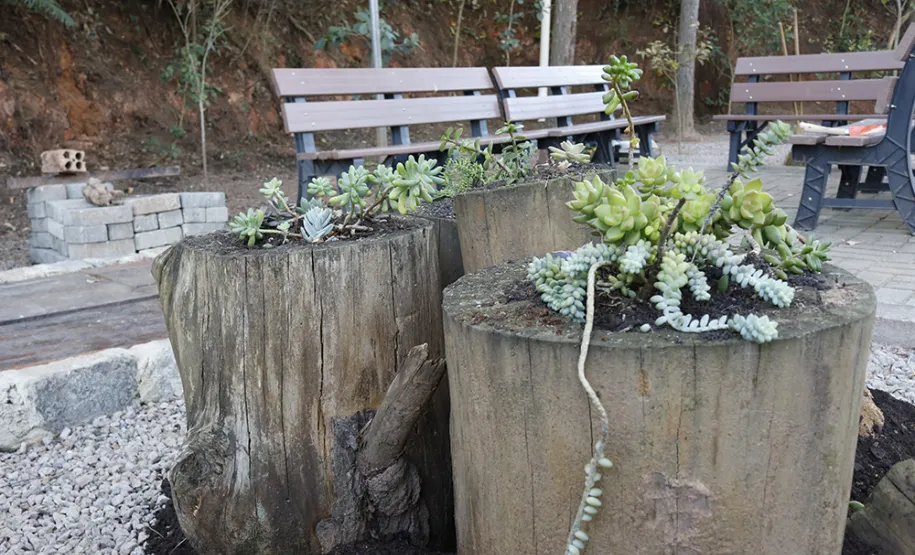Celeparianos decoram o novo jardim da empresa em oficina