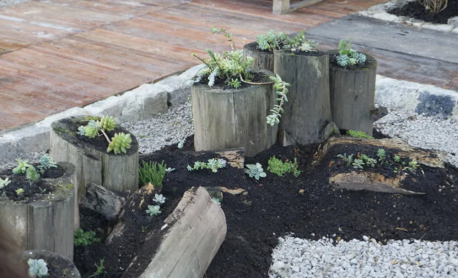 Celeparianos decoram o novo jardim da empresa em oficina