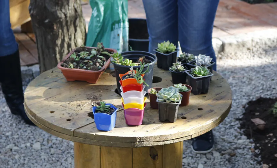 Celeparianos decoram o novo jardim da empresa em oficina