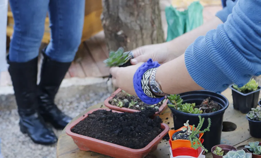 Celeparianos decoram o novo jardim da empresa em oficina