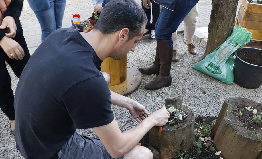 Celeparianos decoram o novo jardim da empresa em oficina