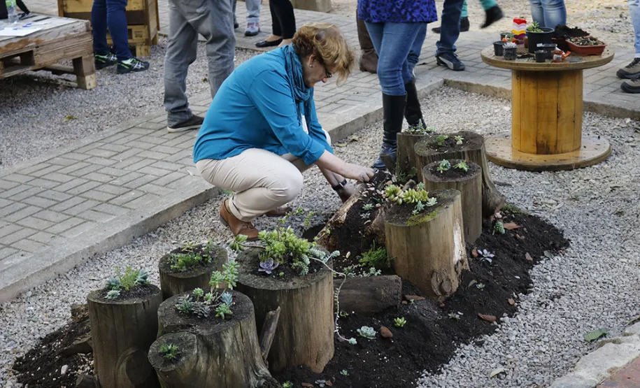Celeparianos decoram o novo jardim da empresa em oficina