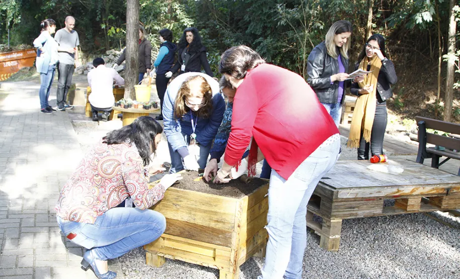 Celeparianos decoram o novo jardim da empresa em oficina