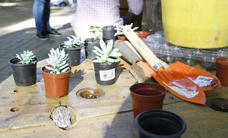 Celeparianos decoram o novo jardim da empresa em oficina