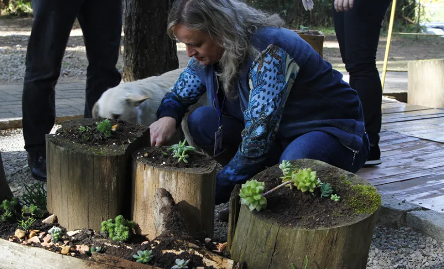 Celeparianos decoram o novo jardim da empresa em oficina